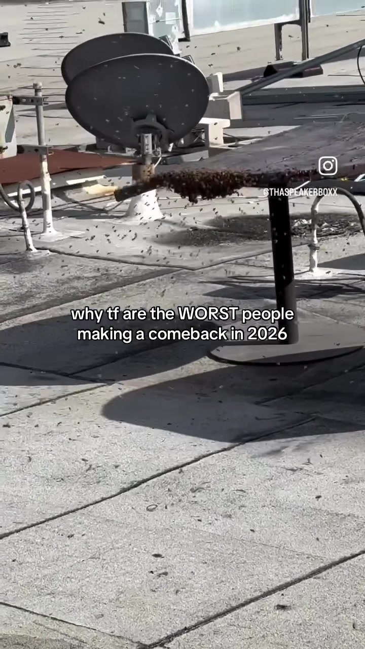 @burritoforbrains