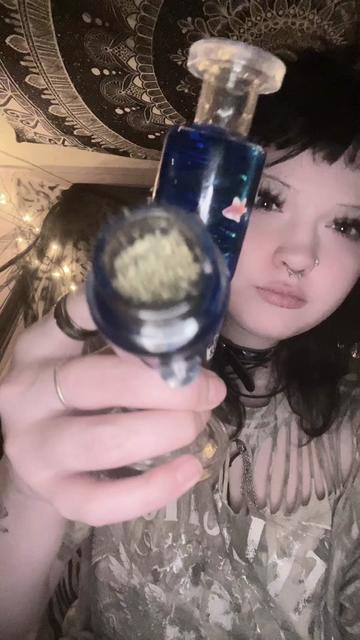 @REDDS.SPAMM