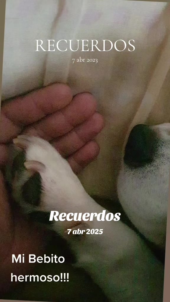 @Ale Casanguita