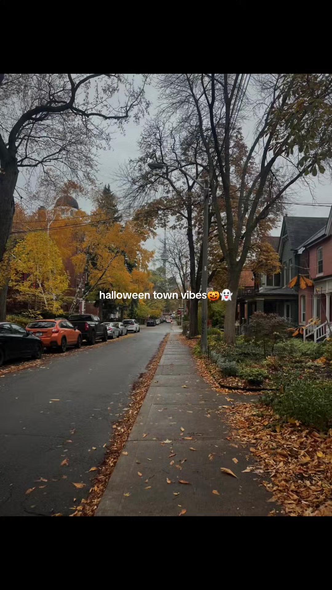 @FrightToFestive