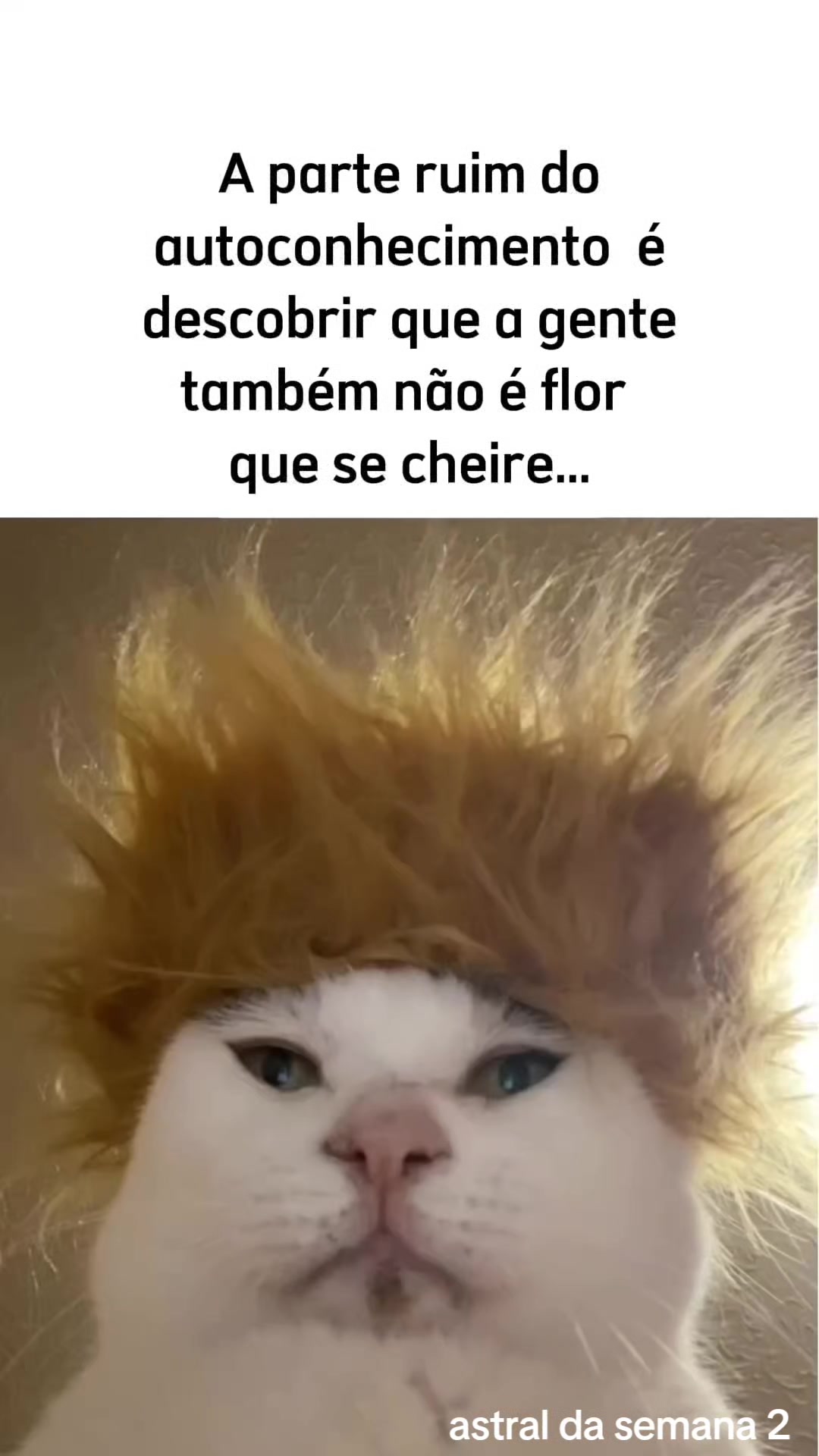 @Astral da semana 2