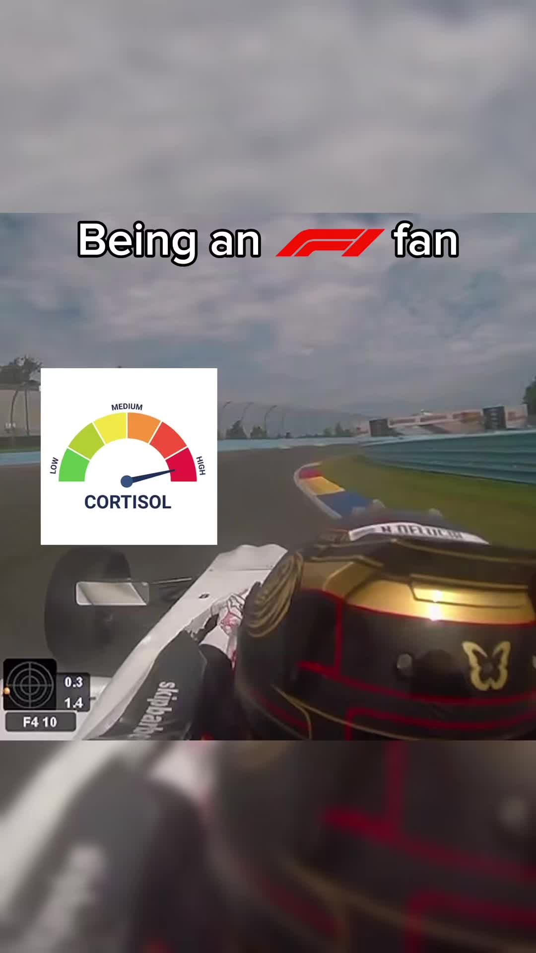 @Rex Racing