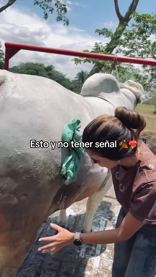 @𝔸ℕ𝕋𝕆🎠