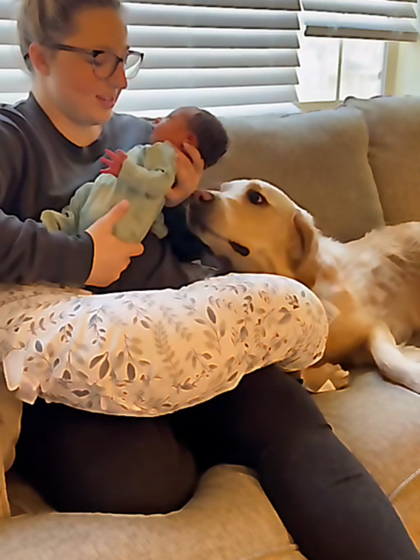 @dogmomentsdaily