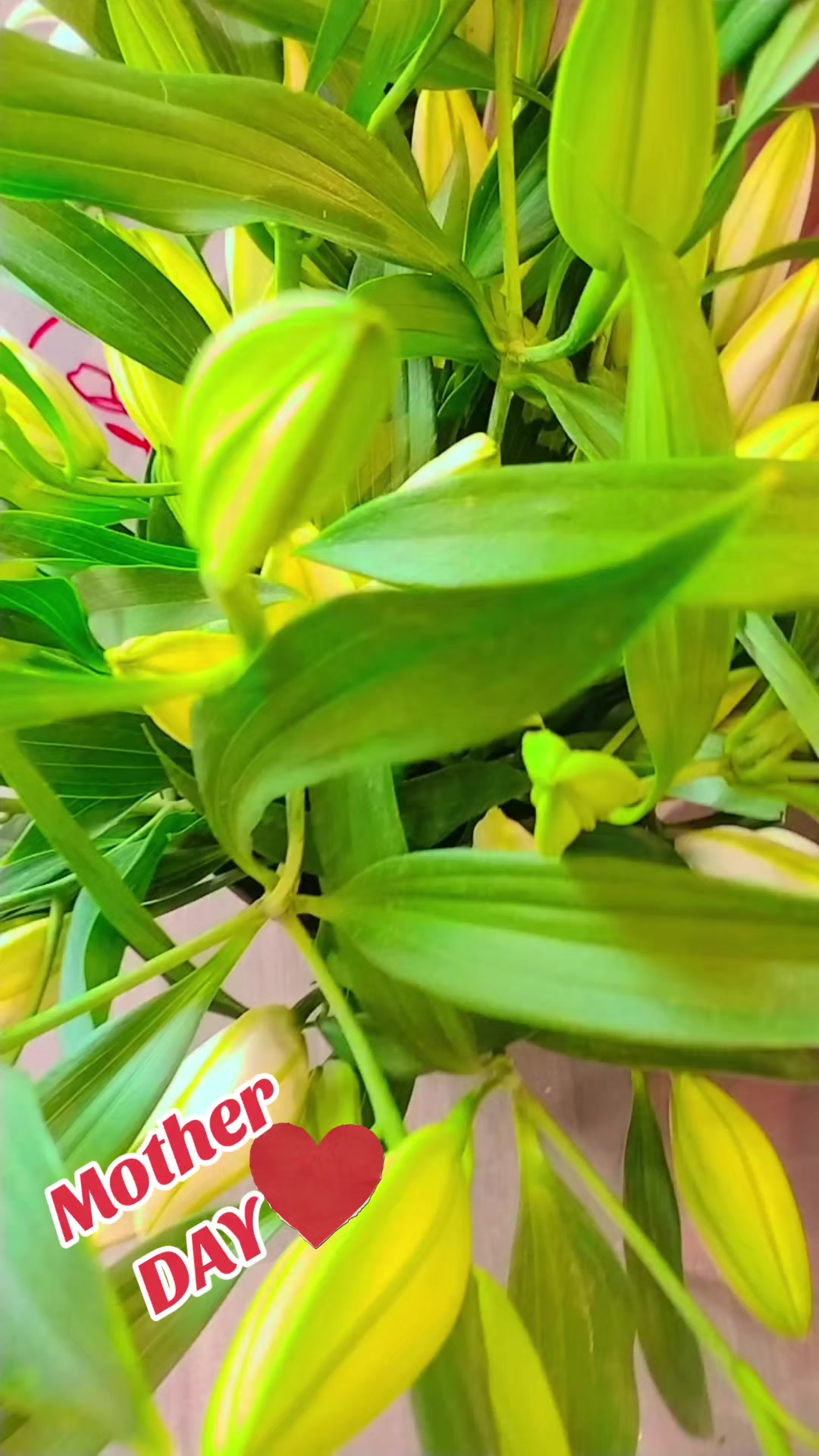 @honmalik1