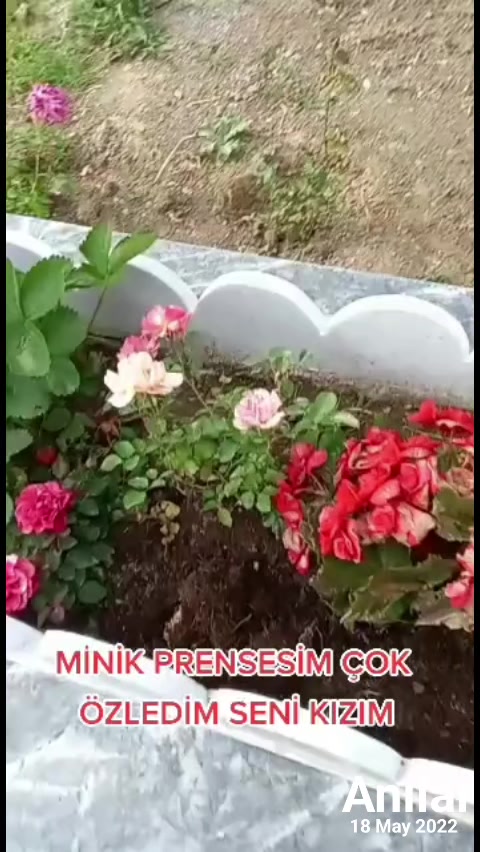 @sevgi.kaan