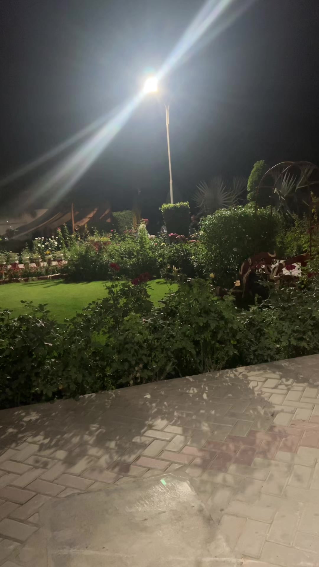 @َاسماء البلوُشي