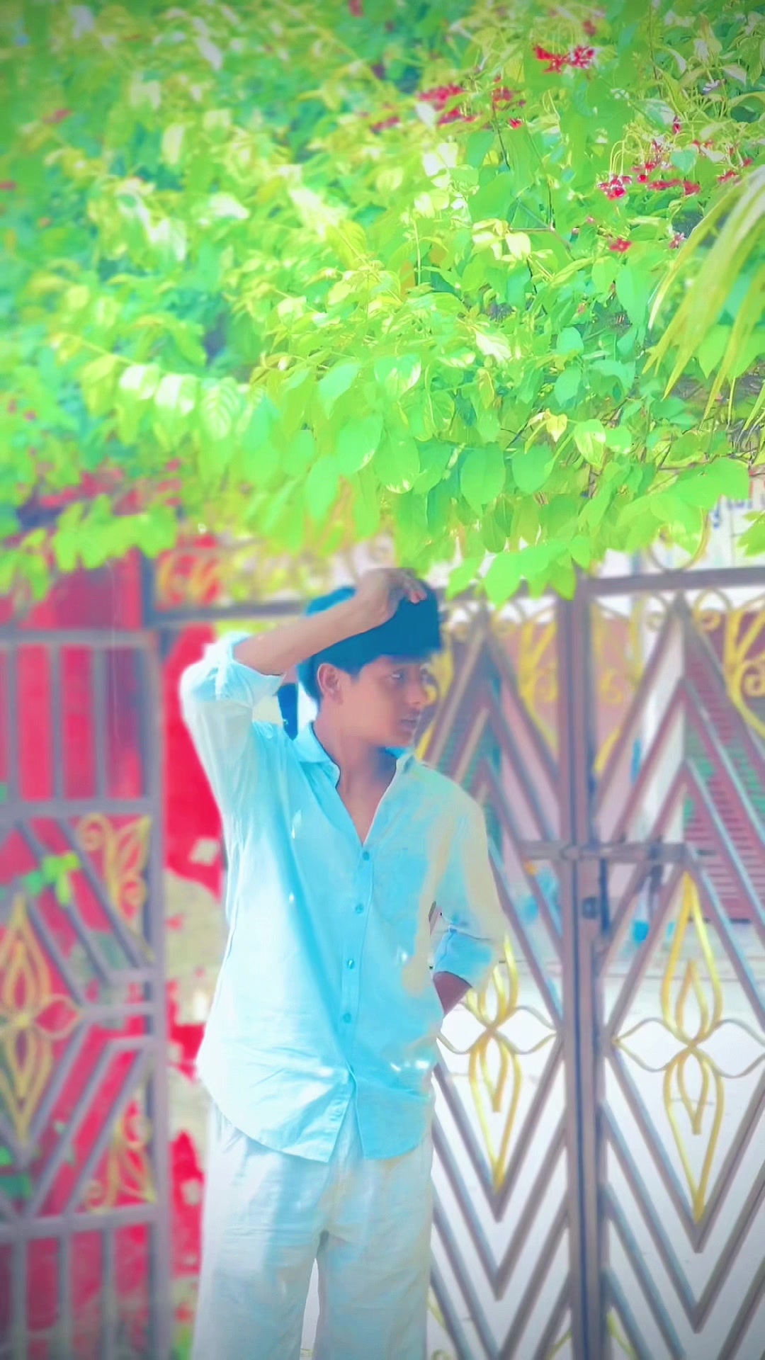 @๐ชถ ๐๐จ๐ฆ๐ฆ๐ฆ๐๐จ๐ฌ