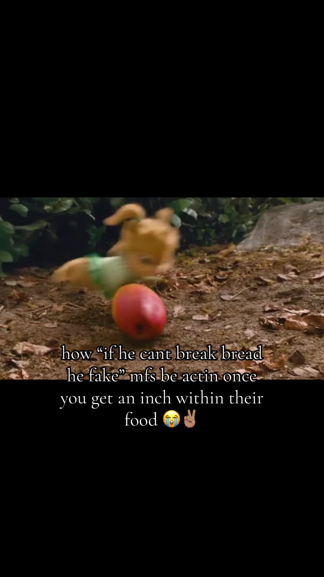 @user67