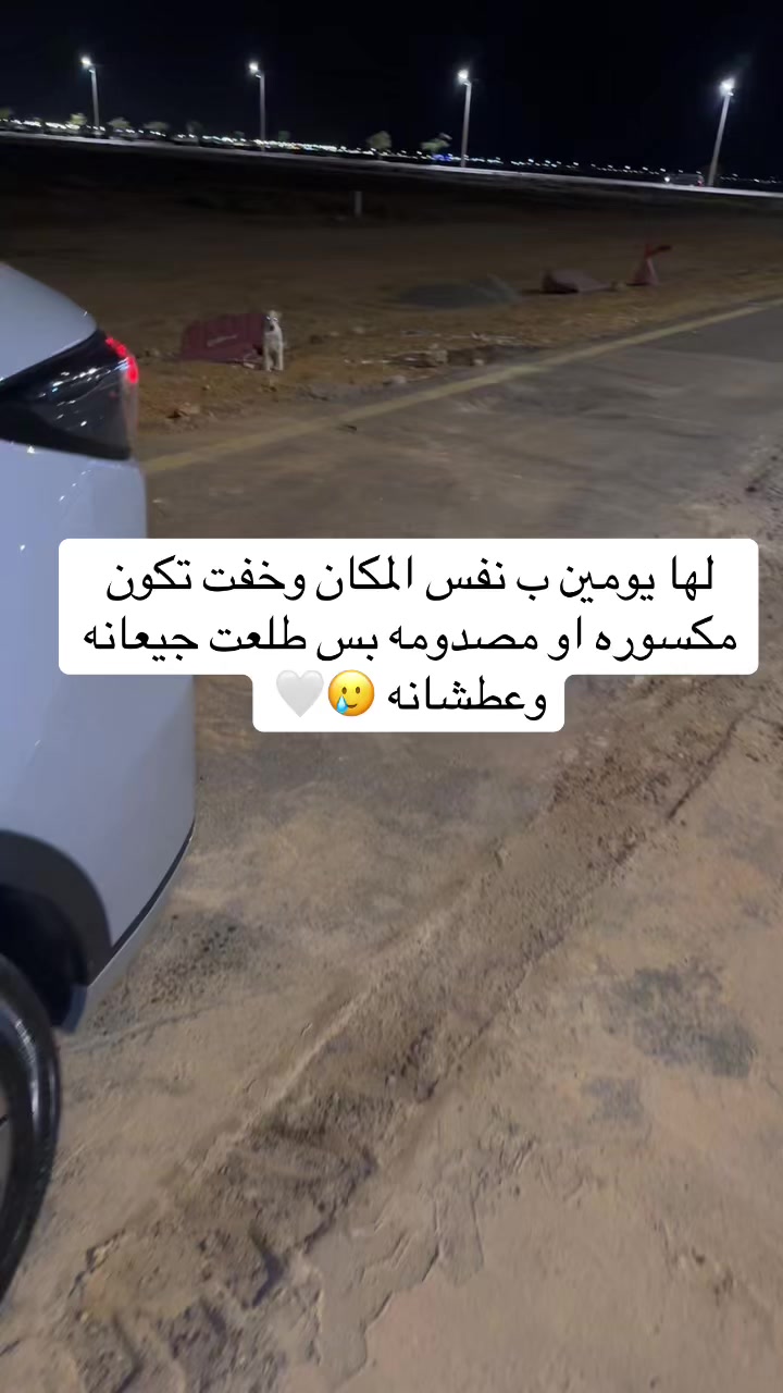 @مـاجـد✨