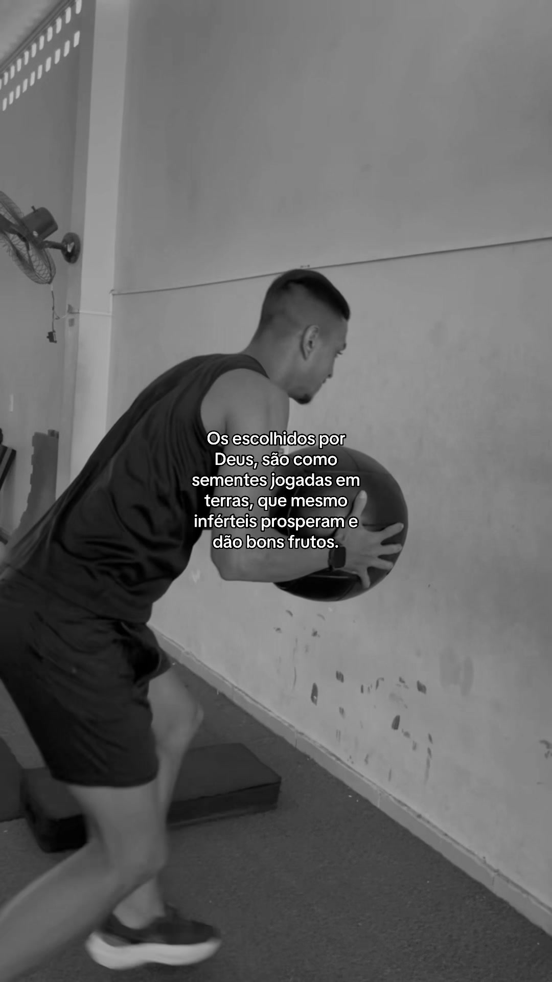 @miqueiascaua5