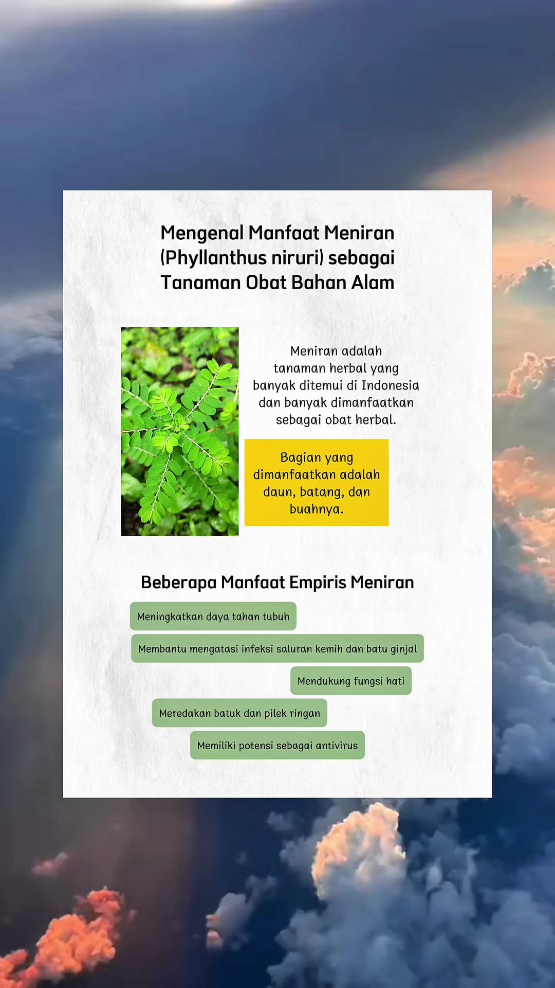 @PABRIK MAKLON HERBAL ALBIRUNI