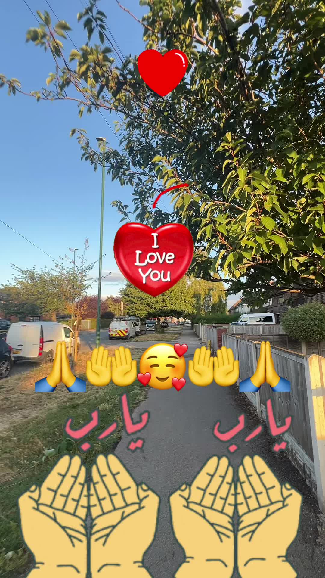 @Osman Bey