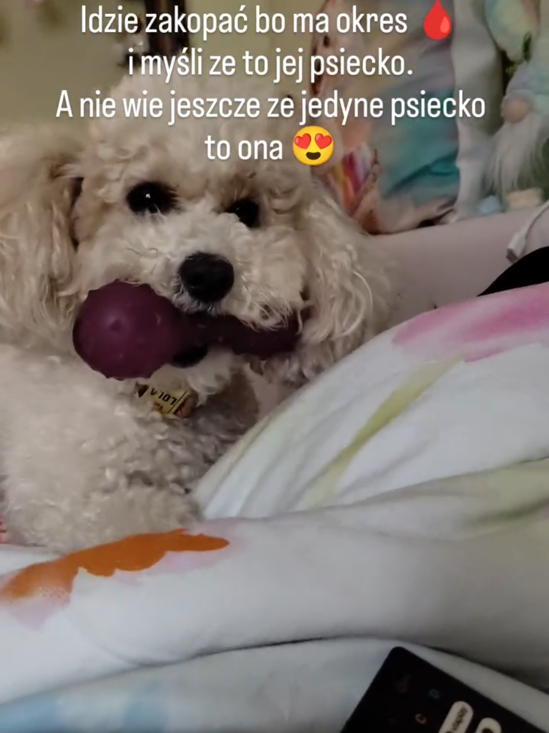 @Marli Marla
