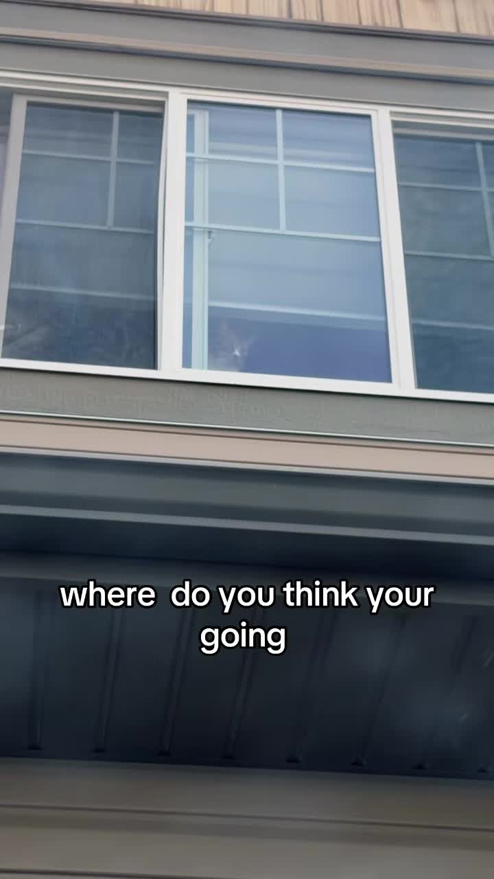 @Bmichaud