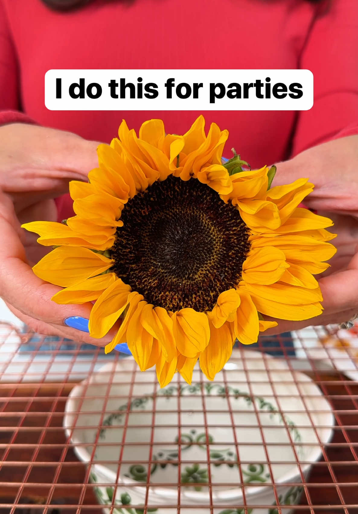 @Liz & Jeff