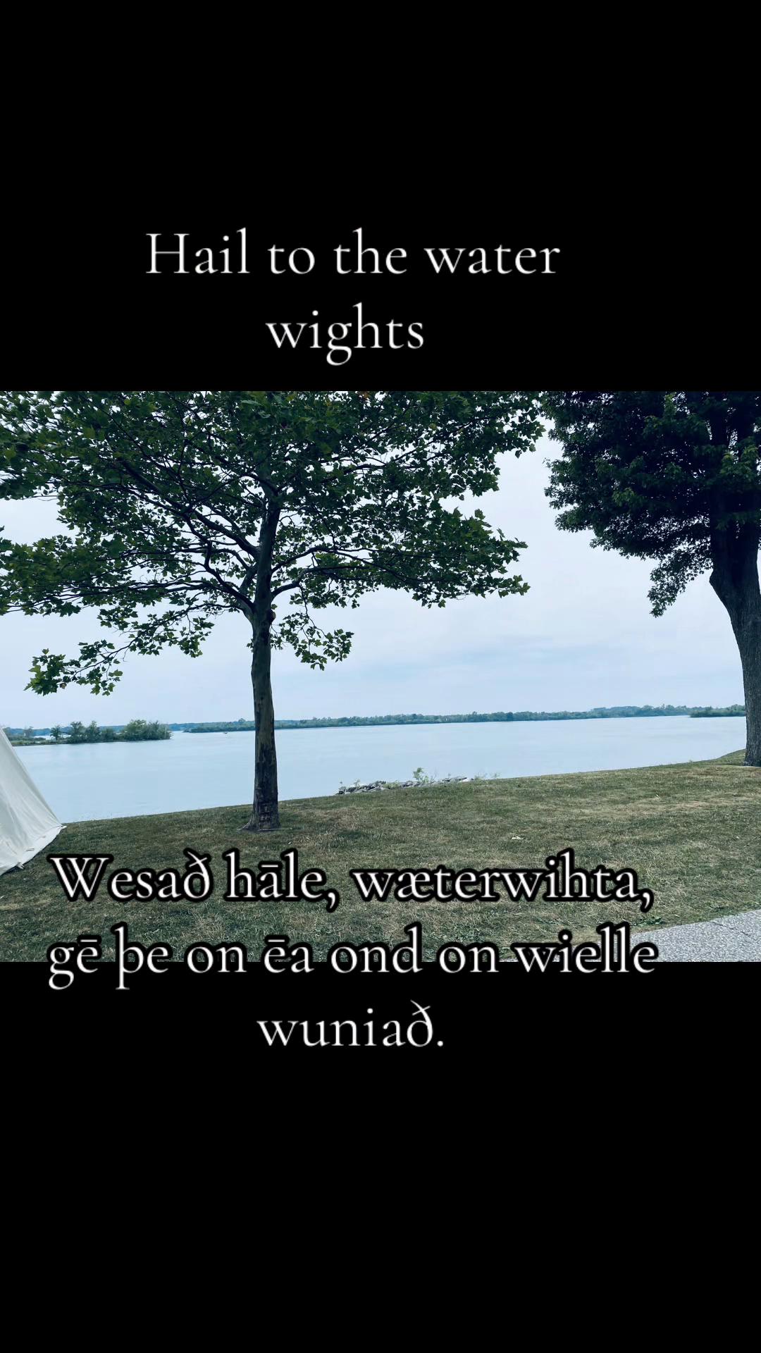 @WitchofWyrd🍁🇨🇦