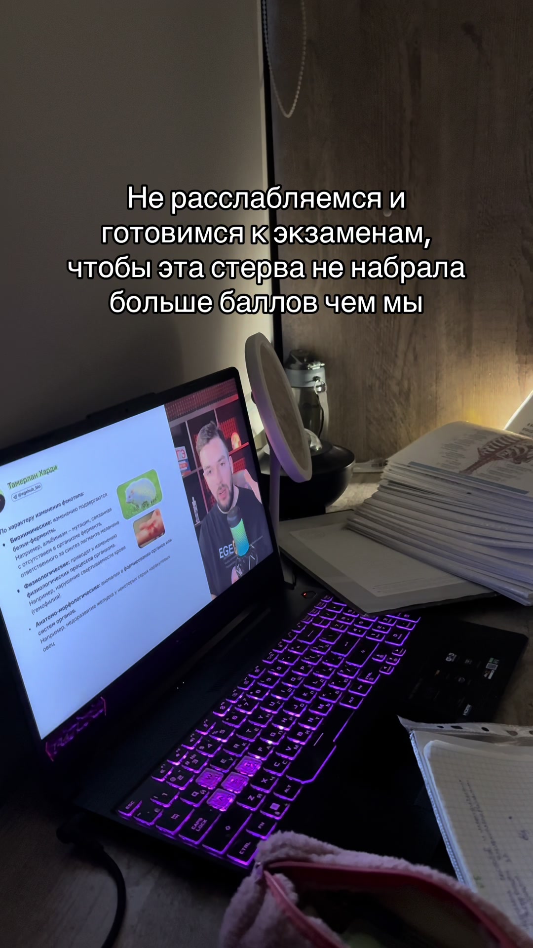 @yayga