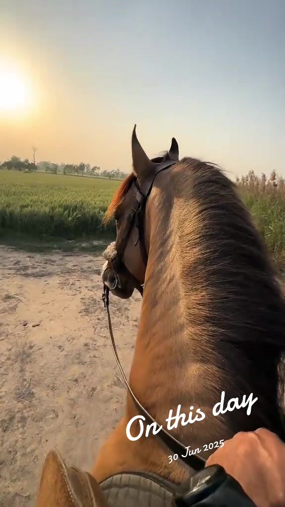 @زین راجا سجاول کا🦅