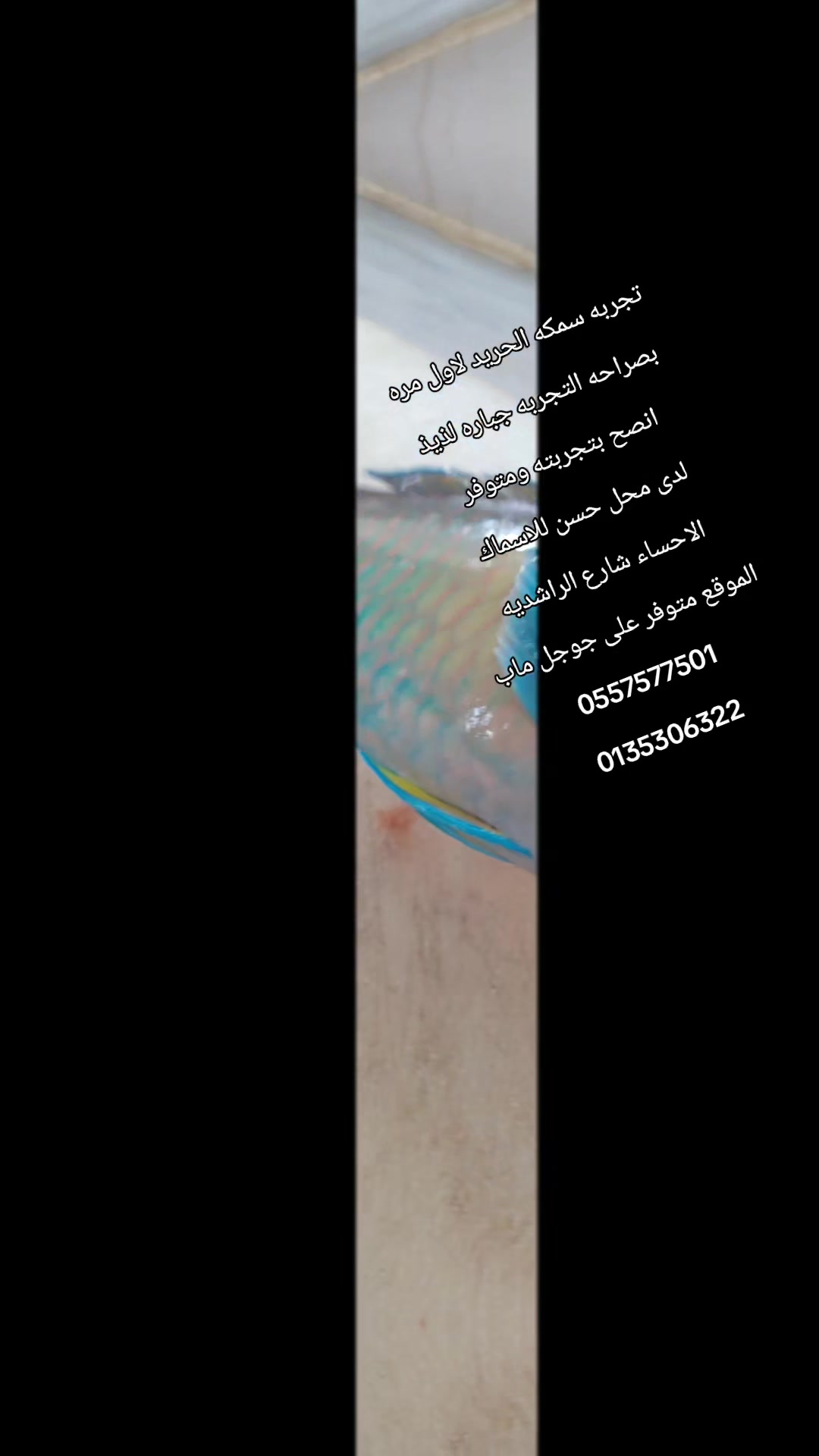 @لاين بحري