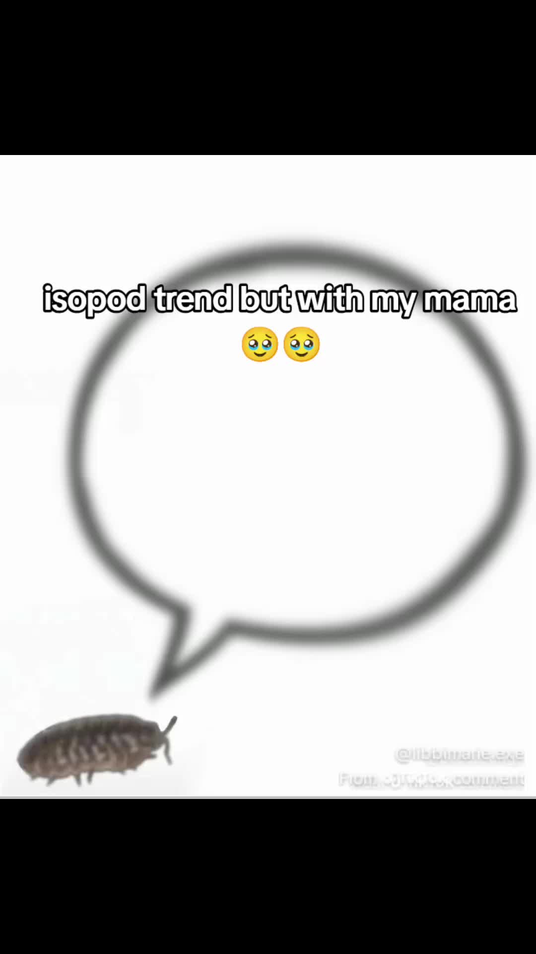 @๐ฝ๐๐๐๐คก๐ช๐ฆ