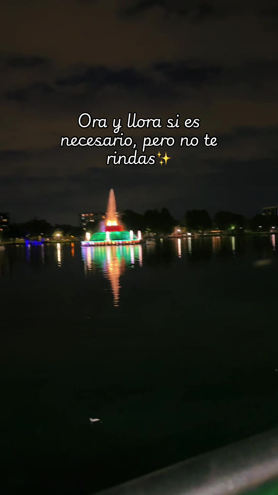 @Belita ✨