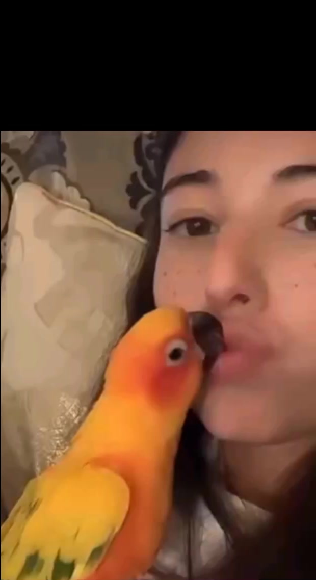 @Angie Varona
