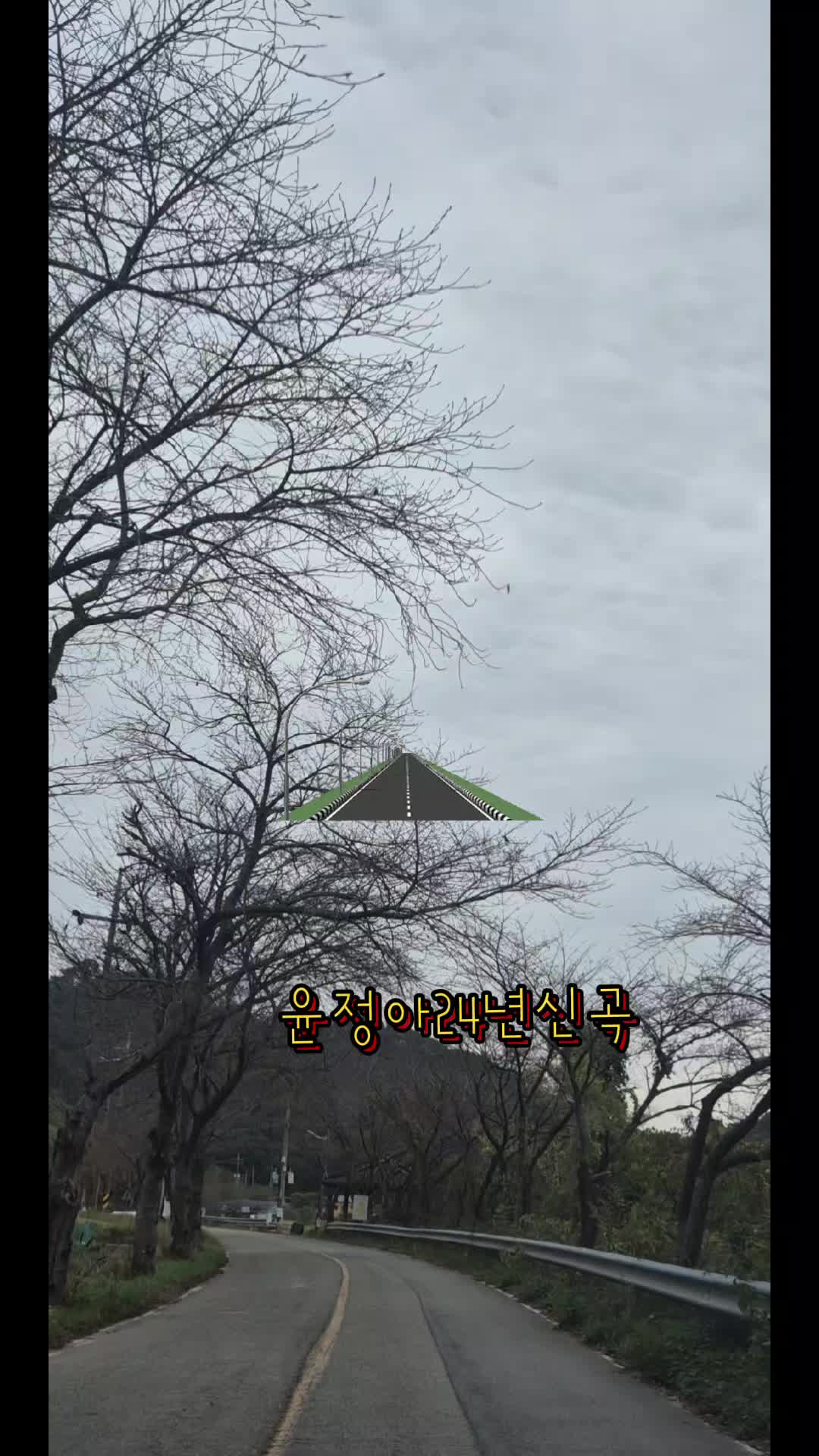 @금은희