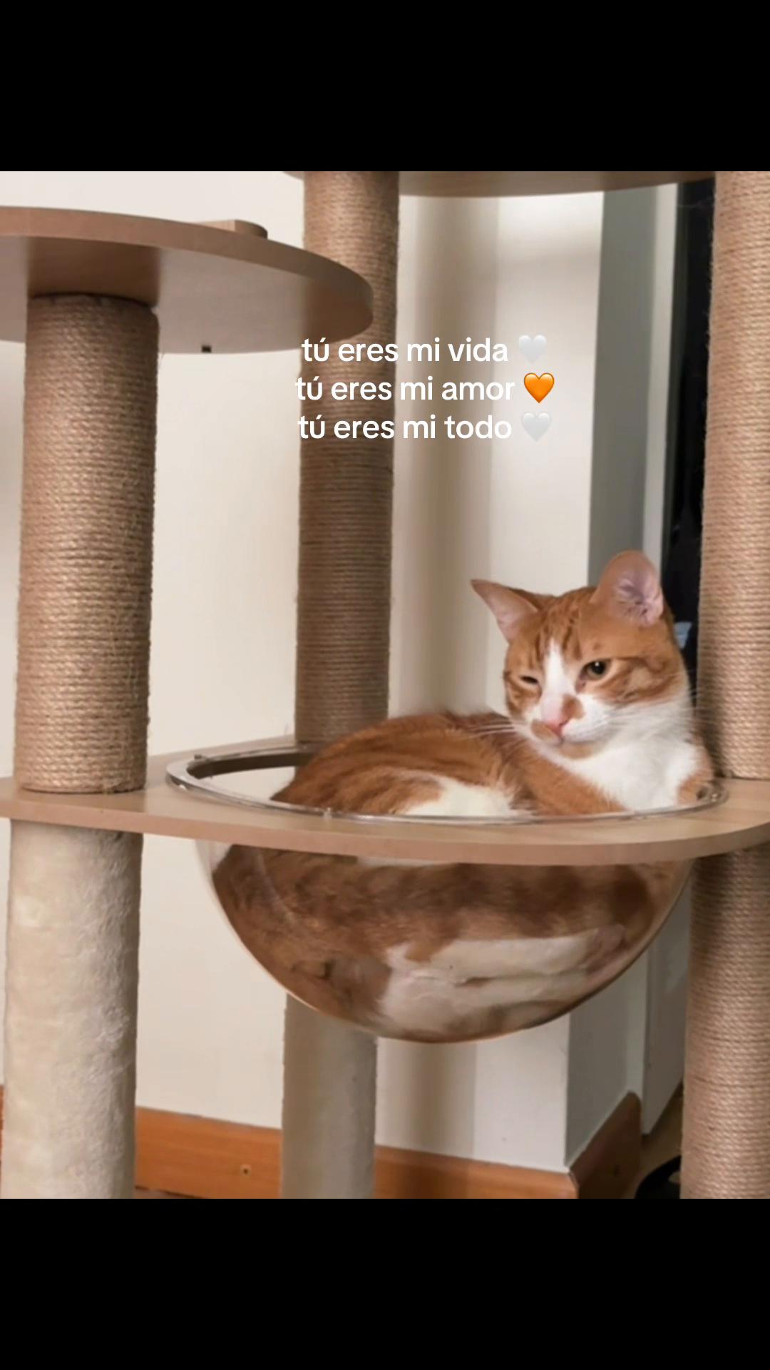 @cxnndelita