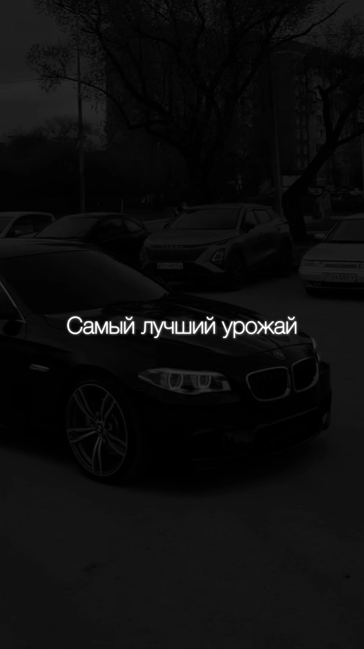 @НЕУЛОВИМЫЙ