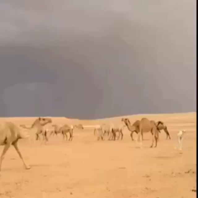 @rx.5.0.7