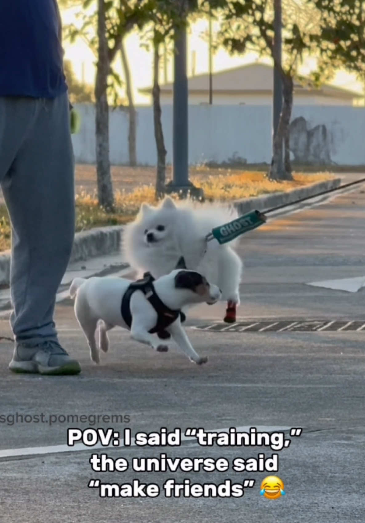 @G H O S T TheRunnerPom