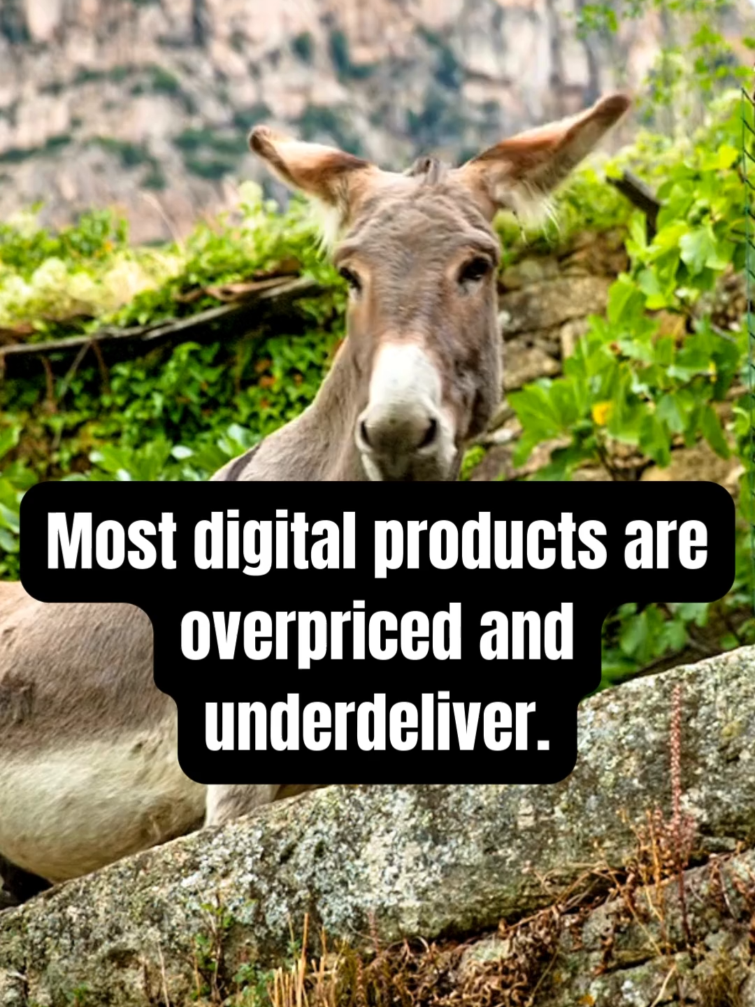 @Digital Marketing Pros ✨