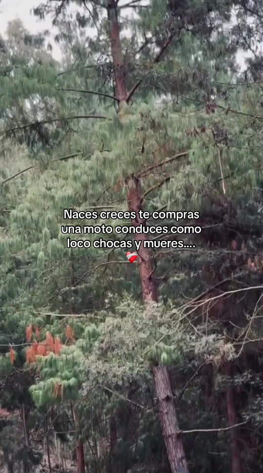 @Alfredo_Ns200