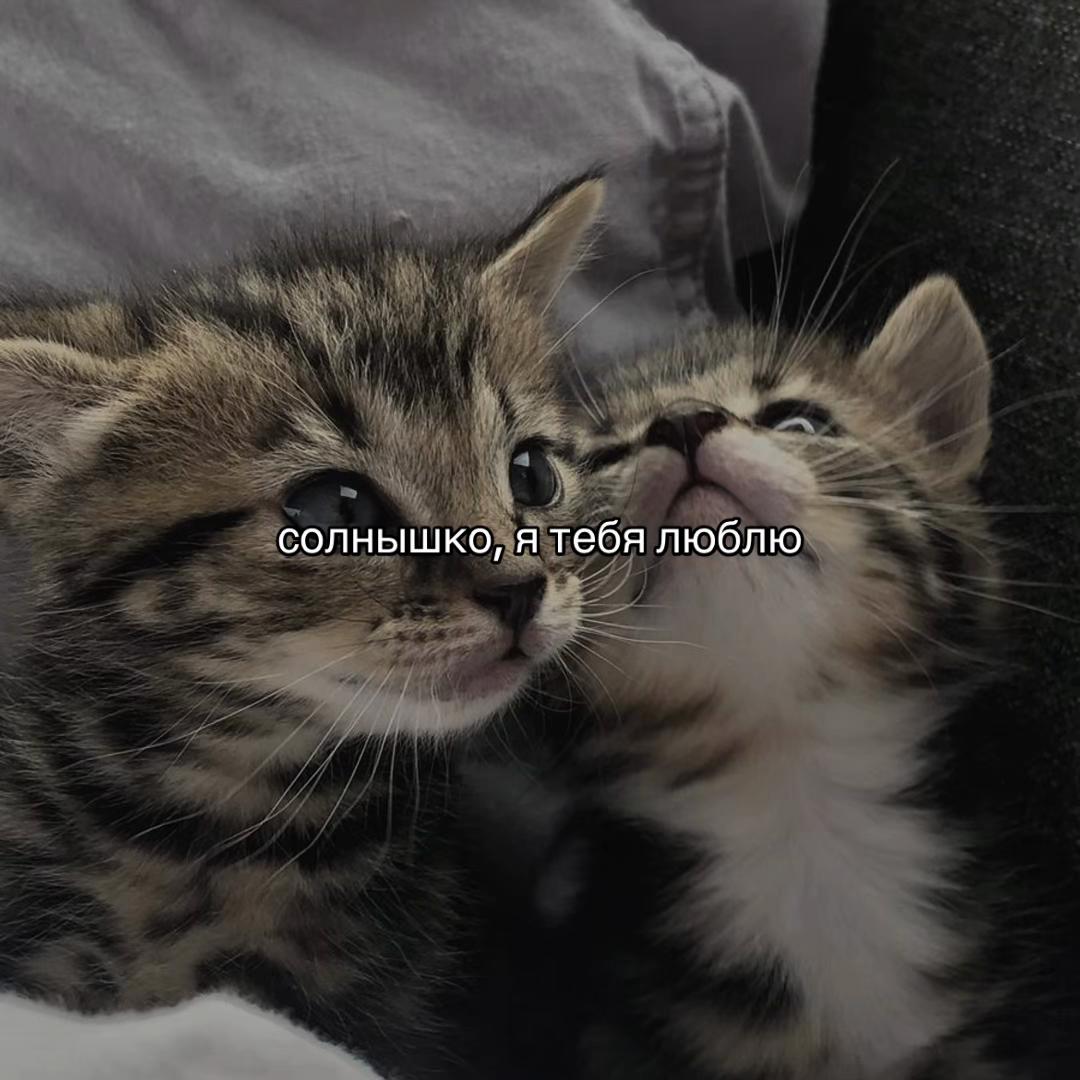 @Х̶И̶Т̶Ы̶ У̶ П̶Л̶И̶Т̶Ы̶🎧
