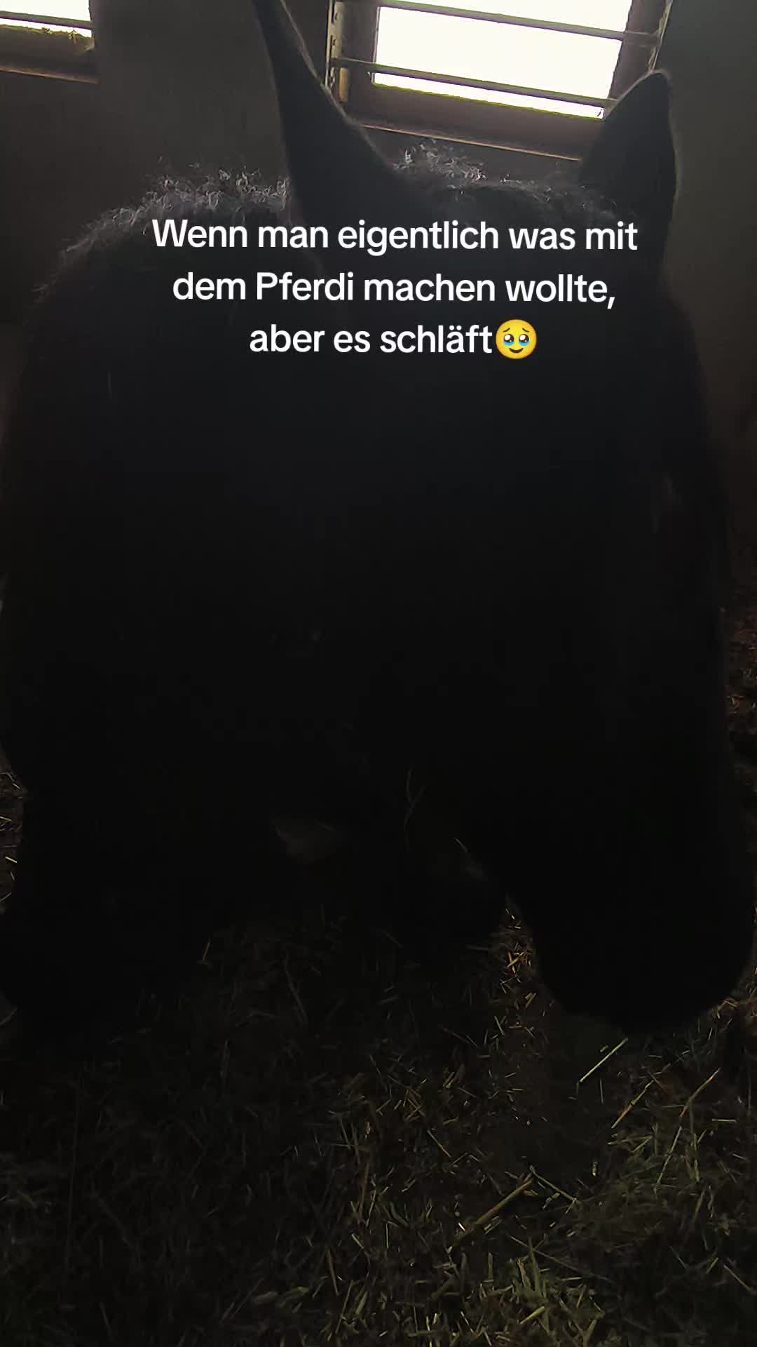 @Nathalie