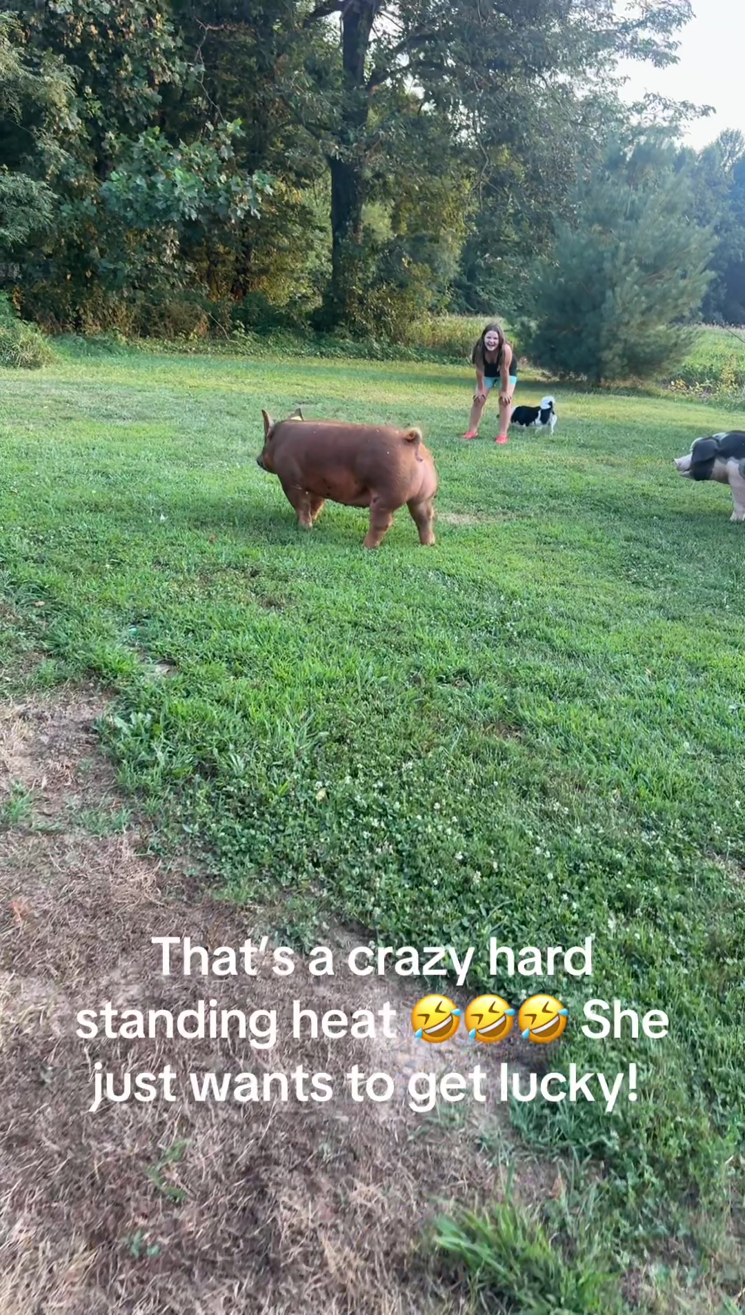 @Caasssss