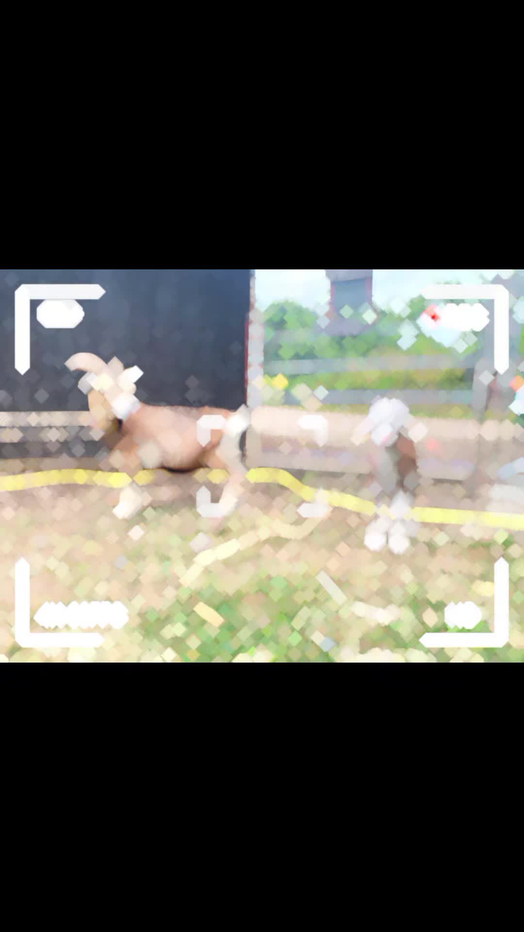 @🦚🆃𝓲𝓮𝓻🅿𝓪𝓻𝓴🆃𝓸𝓴🦚