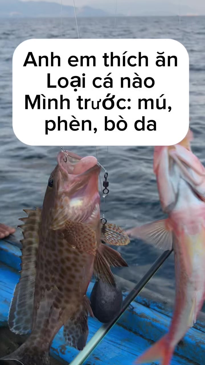 @Nha Trang fishing tour