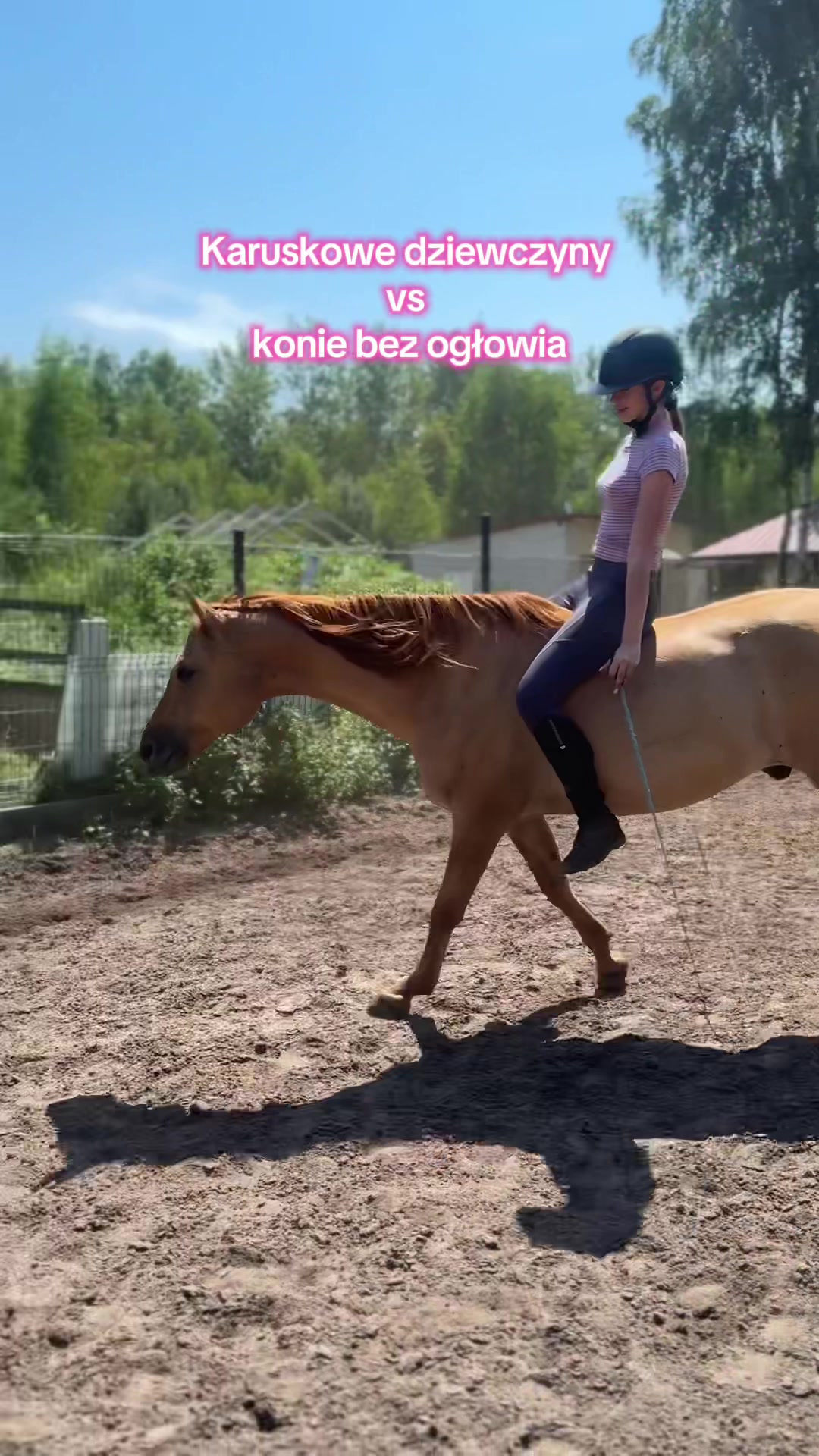 @Weronika Piasecka
