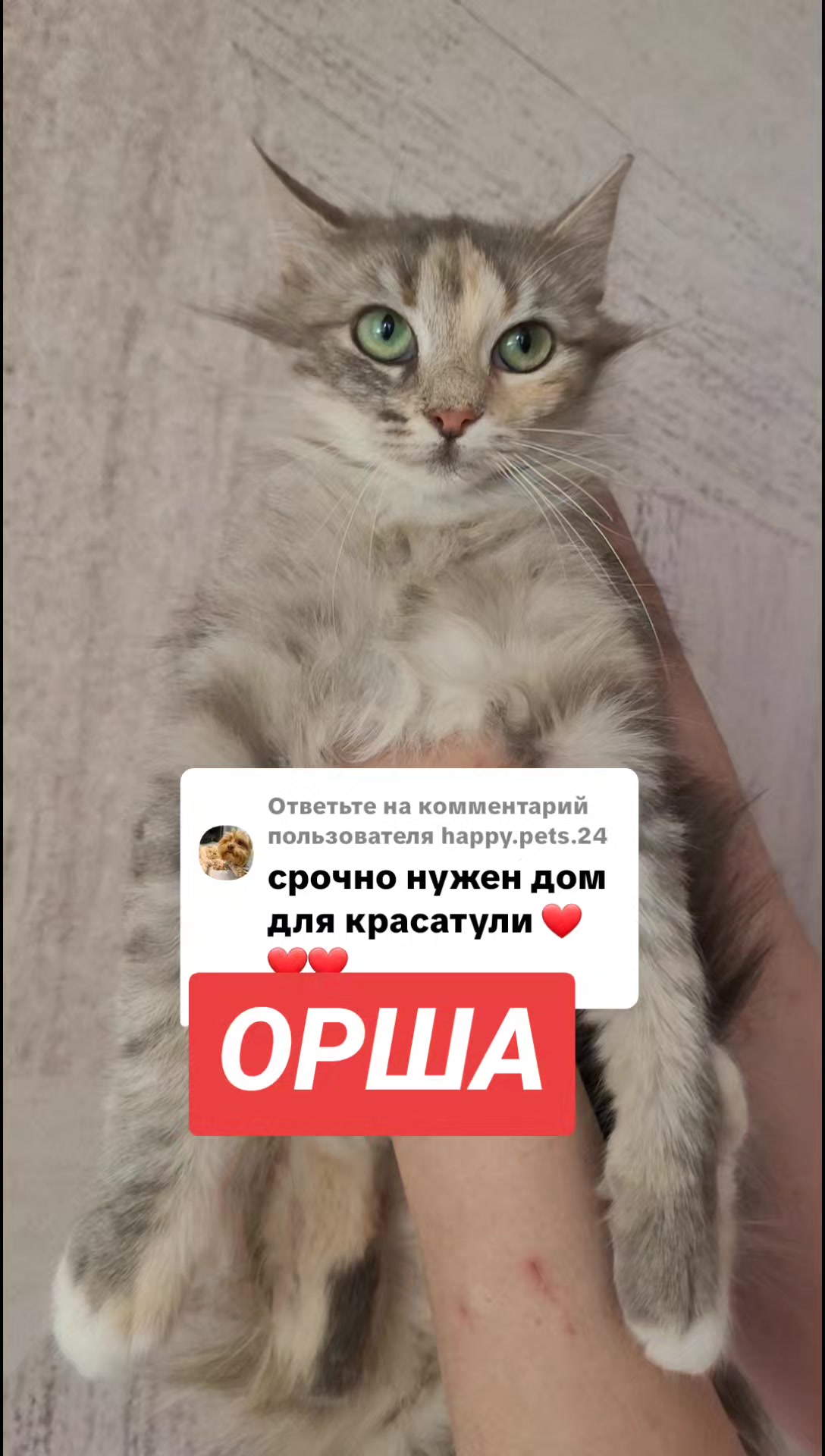 @marinka20_09