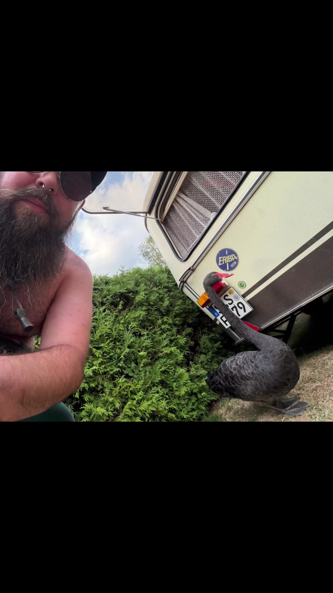 @VANtastic_buddy