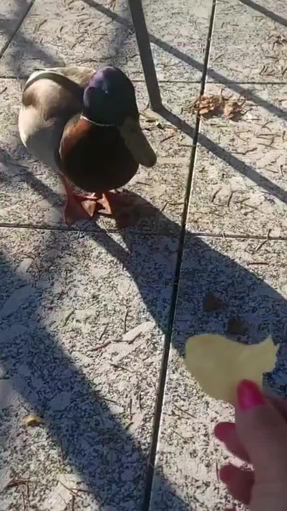 @Małgosia🐻💋💞,🐕💔