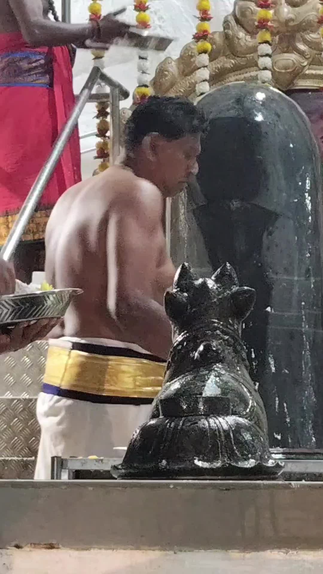 @Puva Akka
