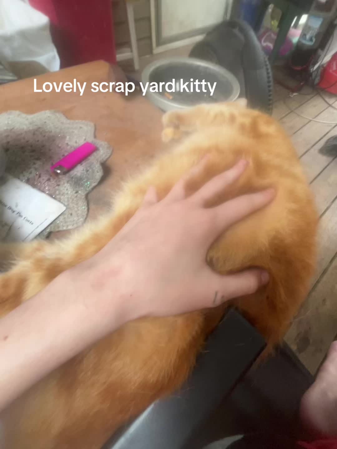 @️