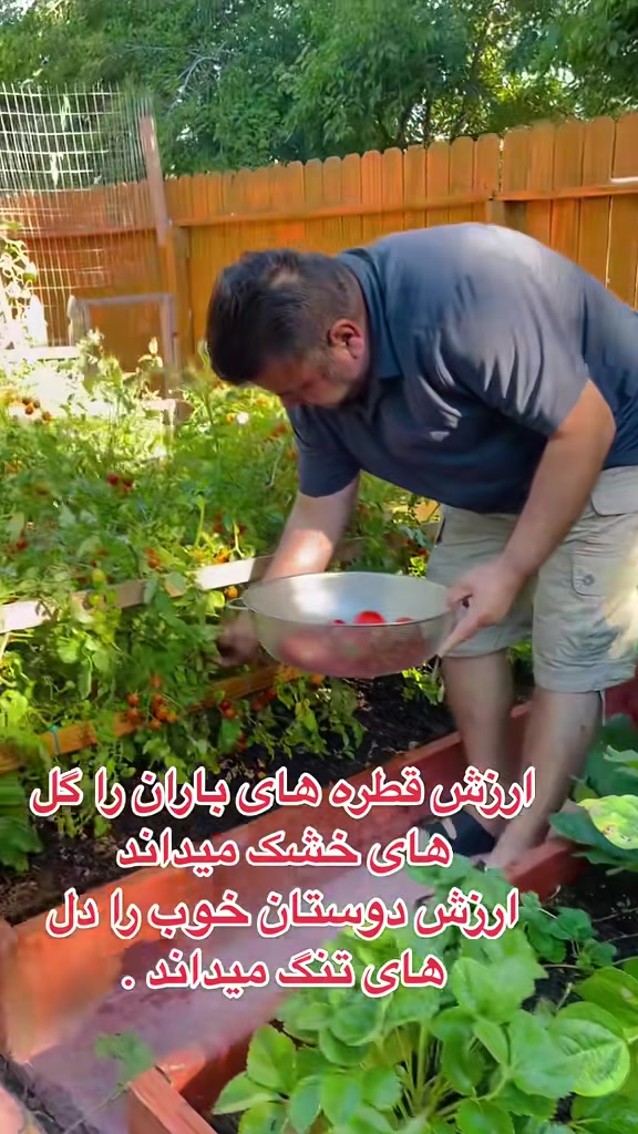 @Rahimi