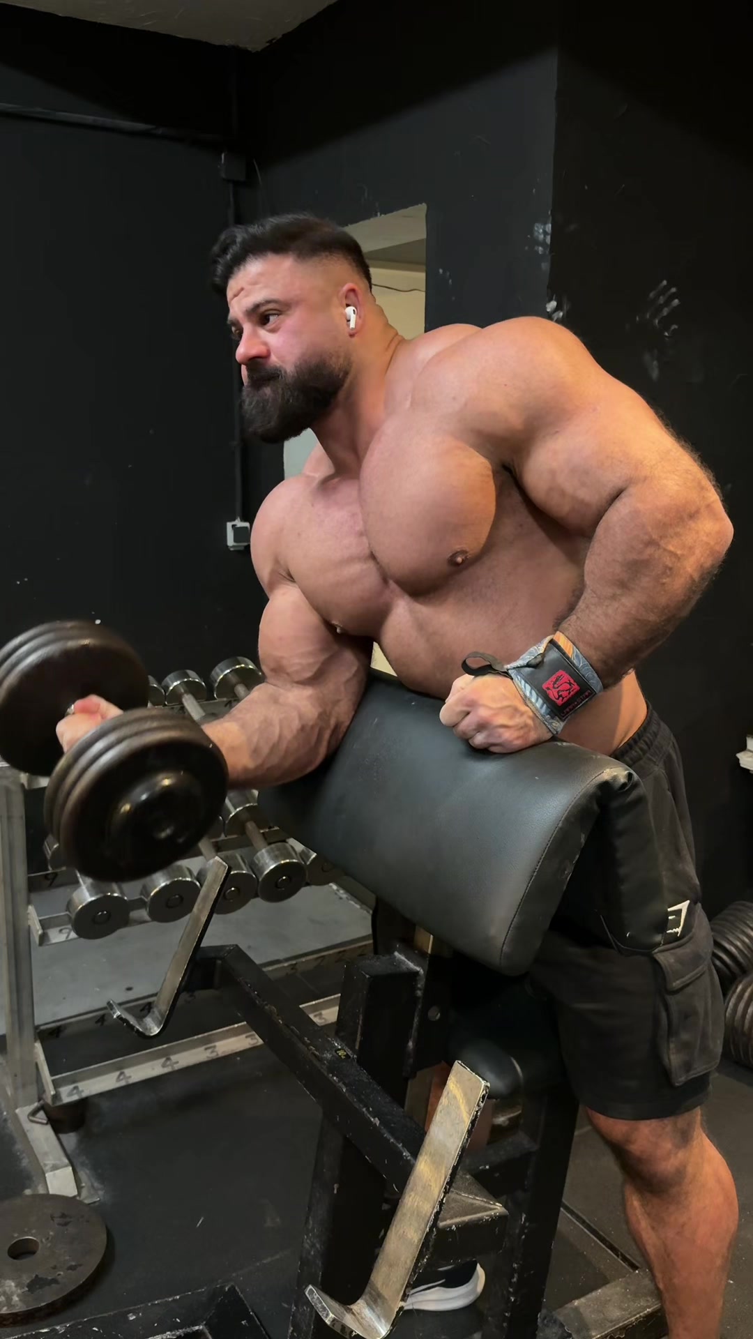 @Reza_silverback