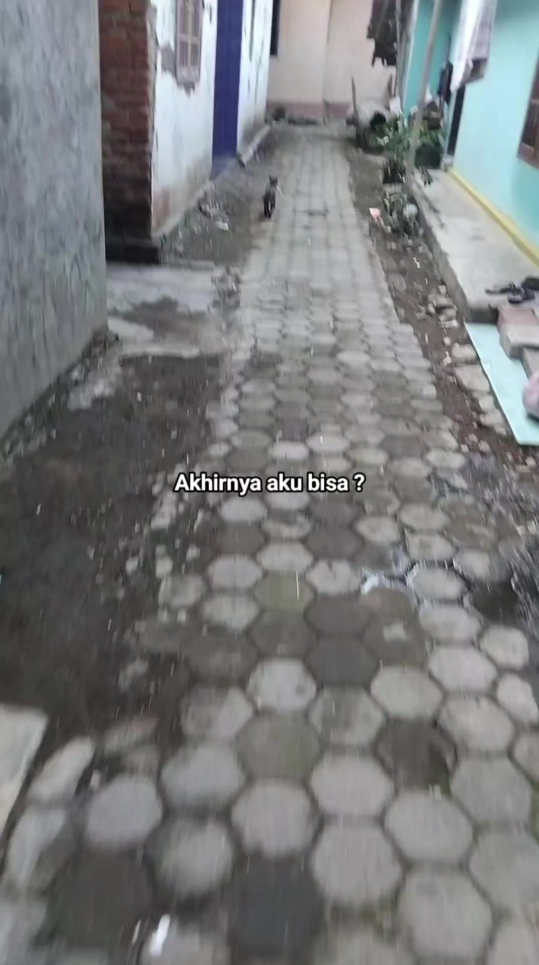 @wociaueva
