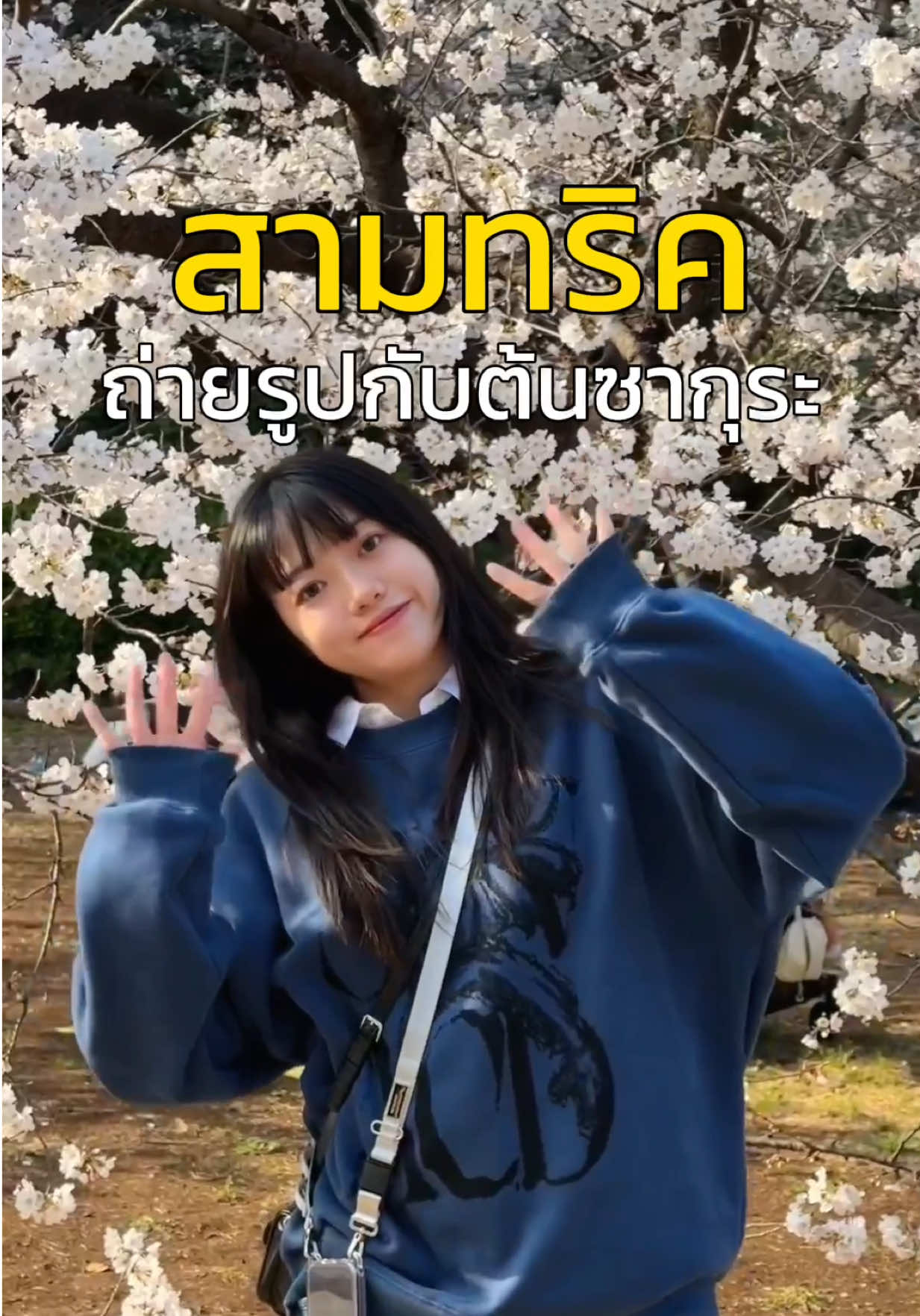 @เปากับเกิร์ล🍰✈️