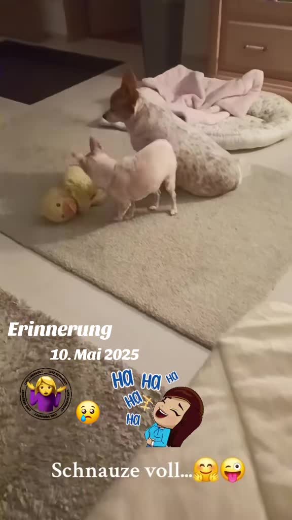 @Zweihorn